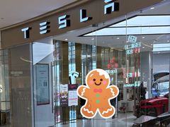 -TESLA 特斯拉(郑州正弘城体验店)