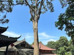 -都江堰普照寺