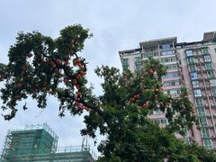 -黄兴南路步行商业街