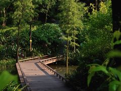-云溪植物园
