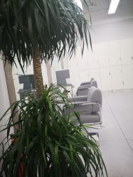 -P.STYLE派斯造型