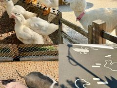 -珠海海泉湾度假区