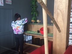 -陈阿婆重庆绿色鱼火锅