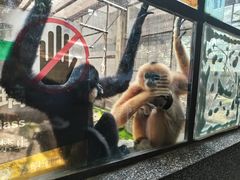 -昆明动物园