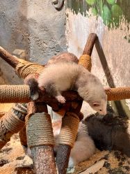 -Zoolung Zoolung动物主题公园(海信广场店)