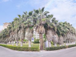 -帝元维多利亚大酒店·宴会厅