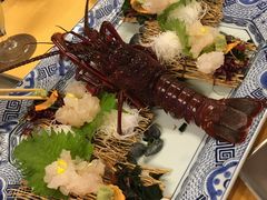 -活伊势龙虾料理 中纳言(千日前味乐馆店)