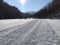 -亚布力新体委滑雪场
