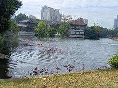 -荔湾湖公园