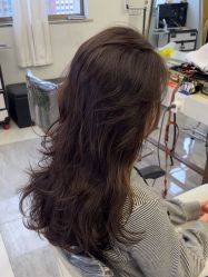 -镁连社·美联社