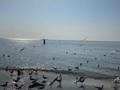 -老虎石海上公园