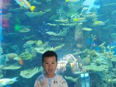 -泉城欧乐堡海洋极地世界