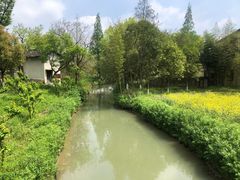 -乌村