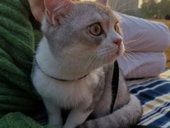 -杭州城北体育公园