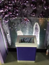 -北京科学中心儿童乐园