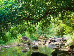 -广州白江湖森林公园