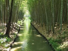 -同里国家湿地公园