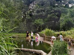 -成都市活水公园