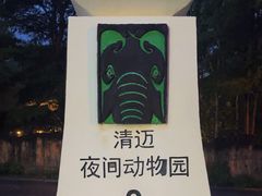 -清迈夜间动物园