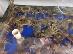 -阳澄湖大闸蟹·琼灵阁牌品牌连锁(吴中总店)