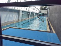 -同济大学四平路校区游泳馆