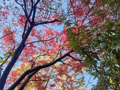 -南京市民俗博物馆(甘熙故居)