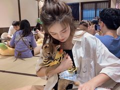 -逗柴咖啡屋·狗咖猫咖宠物桌游