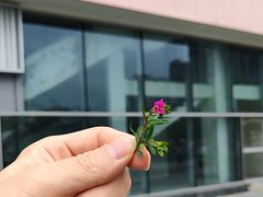 -醉月城西昌火盆烧烤(天府店)