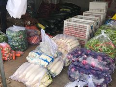 -韩家墅海吉星农产品批发市场