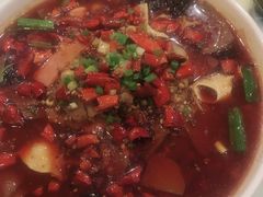 -鑫巴蜀小镇 · 水煮鱼专研店(玉桥店)