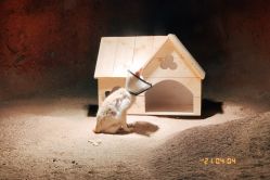 -酷嗒动物文化乐园(cutezoo西溪乐天城店)