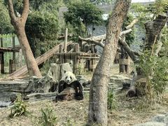 -武汉动物园