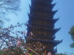 -常熟方塔园