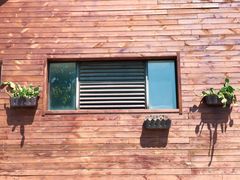 -合肥滨湖国家森林公园