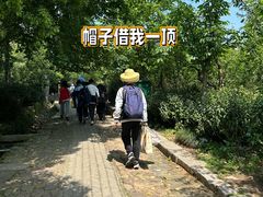 -雨花胜境