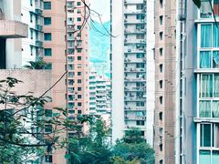 -白象居