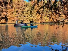 -上海海湾国家森林公园