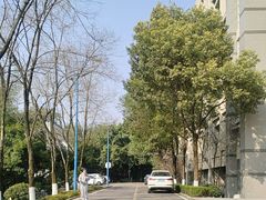 -西南政法大学(渝北校区)