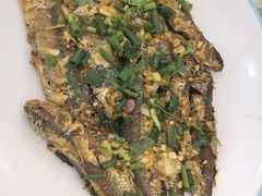 -台山美食一绝阿四台山黄鳝饭(阿四创作店)