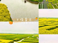 -溱湖国家湿地公园