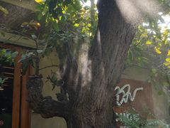 -Chom Cafe and Restaurant