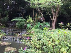 -绿光森林餐厅