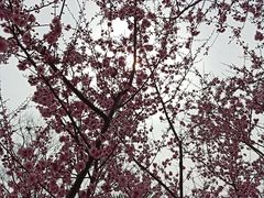 -白塘生态植物园