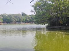 -廊坊市自然公园
