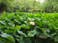 -四川大学(华西校区)