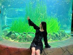 -海合安成都极地海洋公园