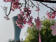 -狐尾山公园