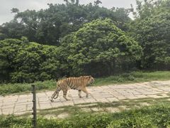 -深圳野生动物园