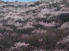 -妙峰山风景名胜区