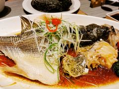 -觅唐MITONG(鸟巢店)